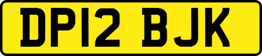 DP12BJK