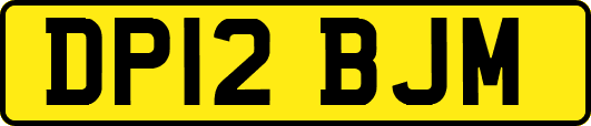 DP12BJM