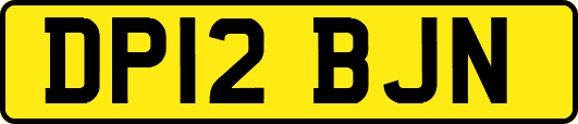 DP12BJN