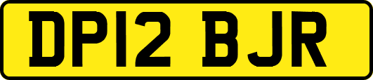 DP12BJR