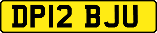 DP12BJU