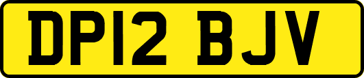 DP12BJV