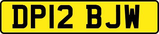 DP12BJW