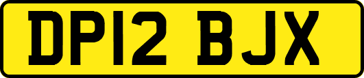 DP12BJX