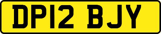 DP12BJY