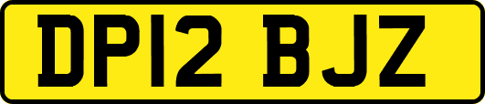 DP12BJZ