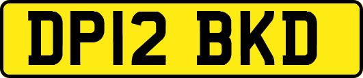 DP12BKD