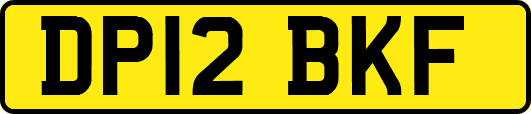 DP12BKF