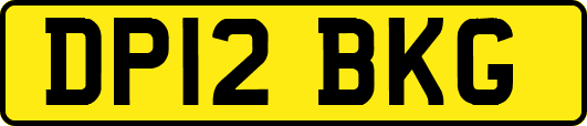 DP12BKG