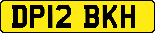 DP12BKH