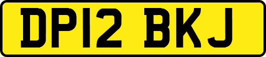 DP12BKJ