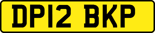 DP12BKP