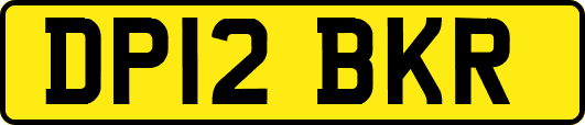 DP12BKR