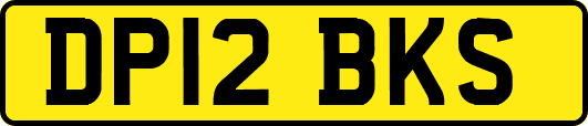 DP12BKS