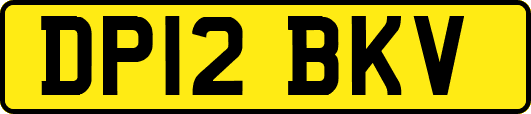 DP12BKV