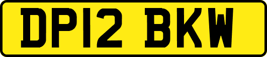 DP12BKW