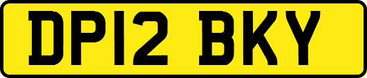 DP12BKY
