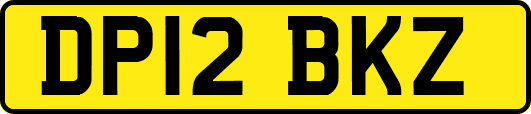 DP12BKZ