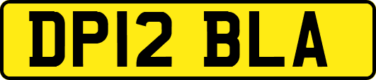 DP12BLA