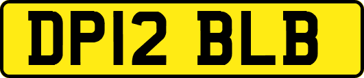 DP12BLB