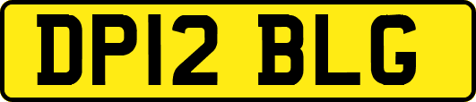 DP12BLG