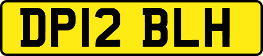 DP12BLH