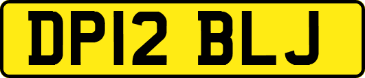 DP12BLJ