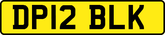 DP12BLK