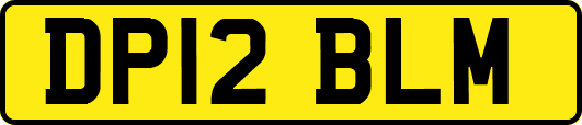 DP12BLM