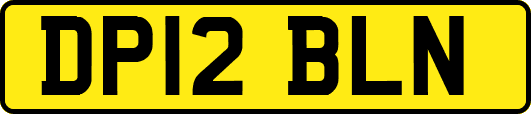 DP12BLN