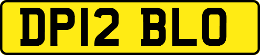 DP12BLO