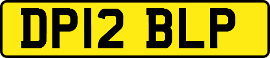 DP12BLP