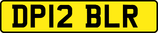 DP12BLR