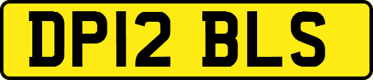 DP12BLS