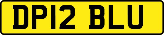 DP12BLU