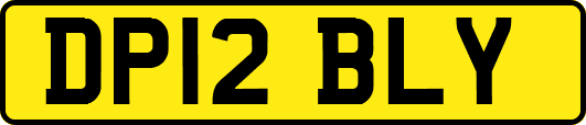 DP12BLY