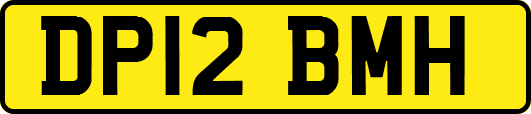 DP12BMH