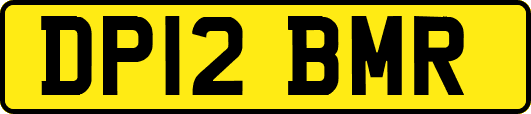 DP12BMR