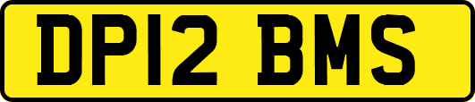 DP12BMS