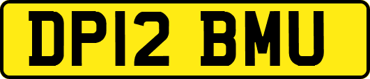DP12BMU