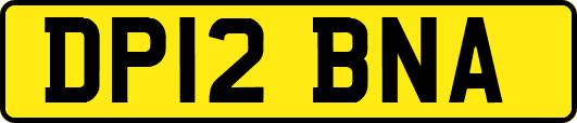 DP12BNA