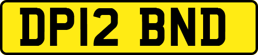 DP12BND
