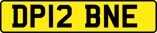 DP12BNE