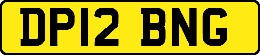 DP12BNG