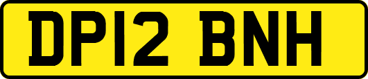 DP12BNH