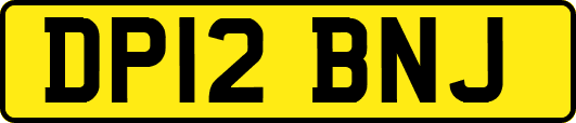 DP12BNJ