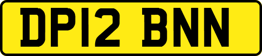 DP12BNN