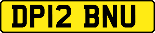 DP12BNU