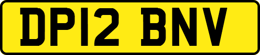 DP12BNV