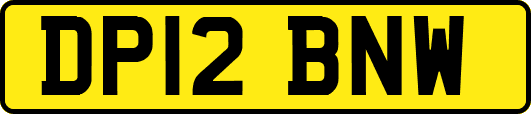 DP12BNW